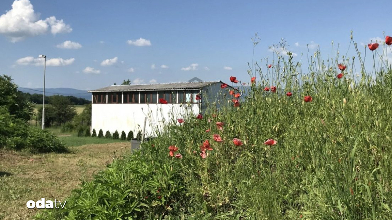 fiyati turkiyedeki villalarla yarisiyor nukleer siginakli ev kszRJRGz