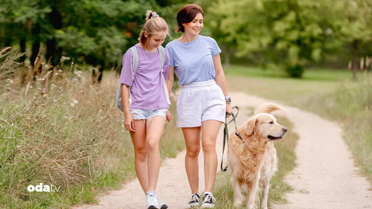 italyada yeni uygulama kopek vergisi LDqqSZrM