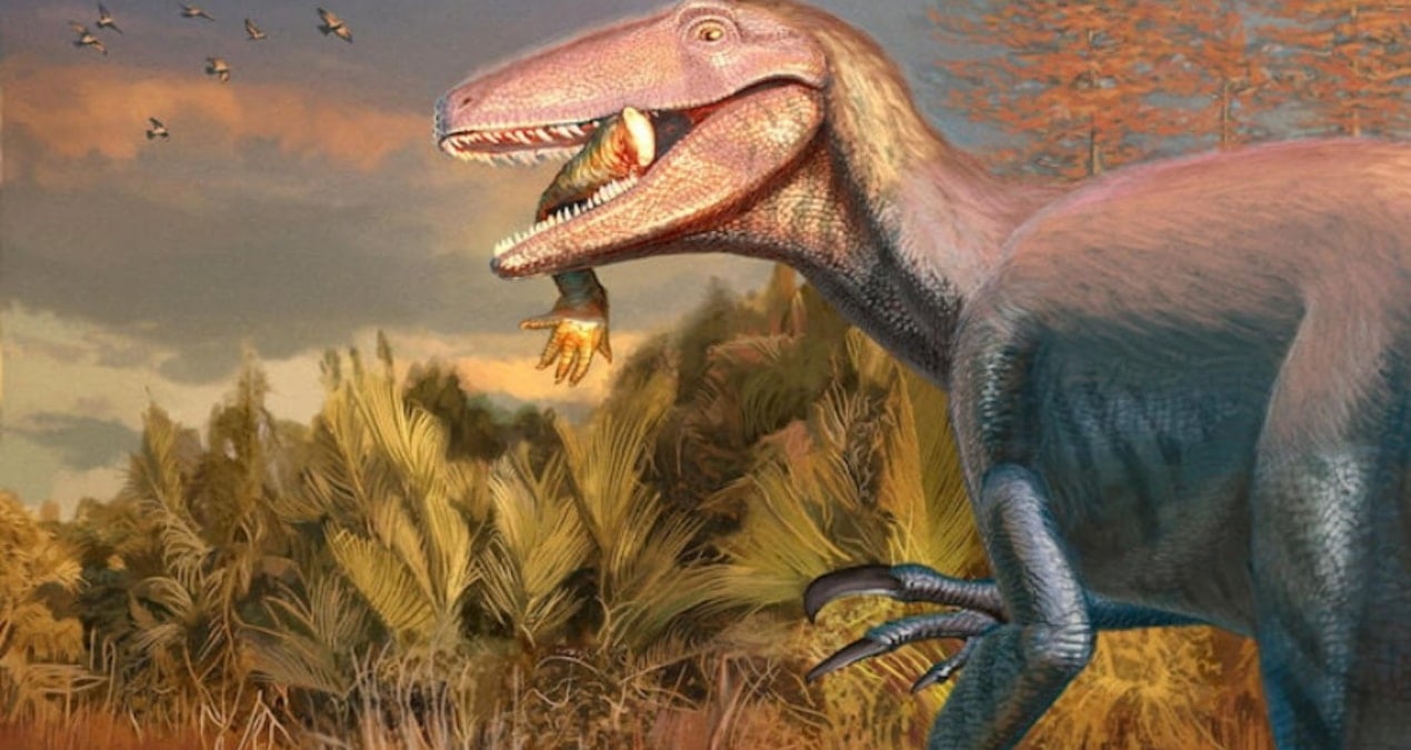 jurassic park filmlerinden firlamis gibi yeni tur agzindaki son yemegi ile bulundu CQ9p7Gal