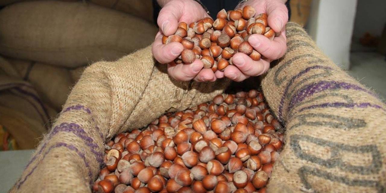 findiktan 1 milyar 610 milyon 163 bin gelir qeTq2L4c.jpg