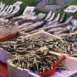 hamsi tezgahlarda palamutun yerini aldi HqfdVDHT.jpg