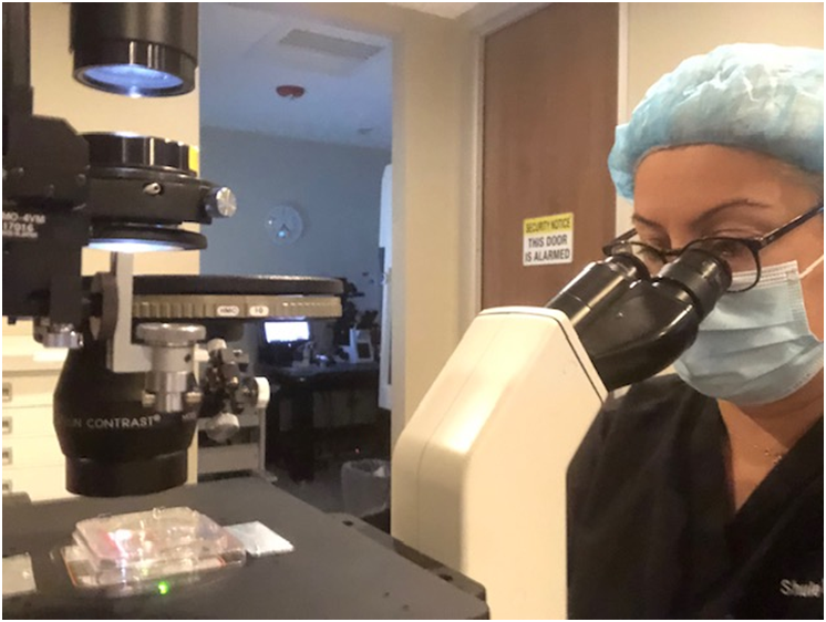 ABD’de Tüp Bebek Sektöründeki Türk Kadınının Başarısı